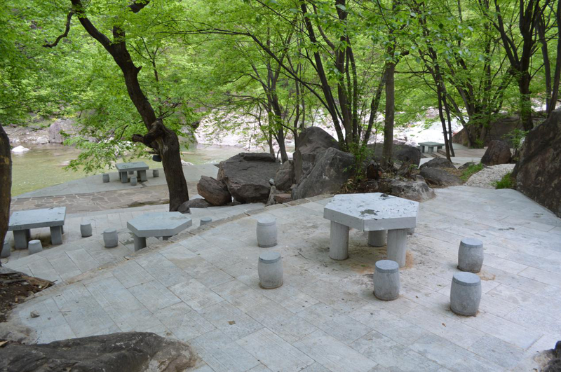 咬定青山不放松，立根原在石岩中