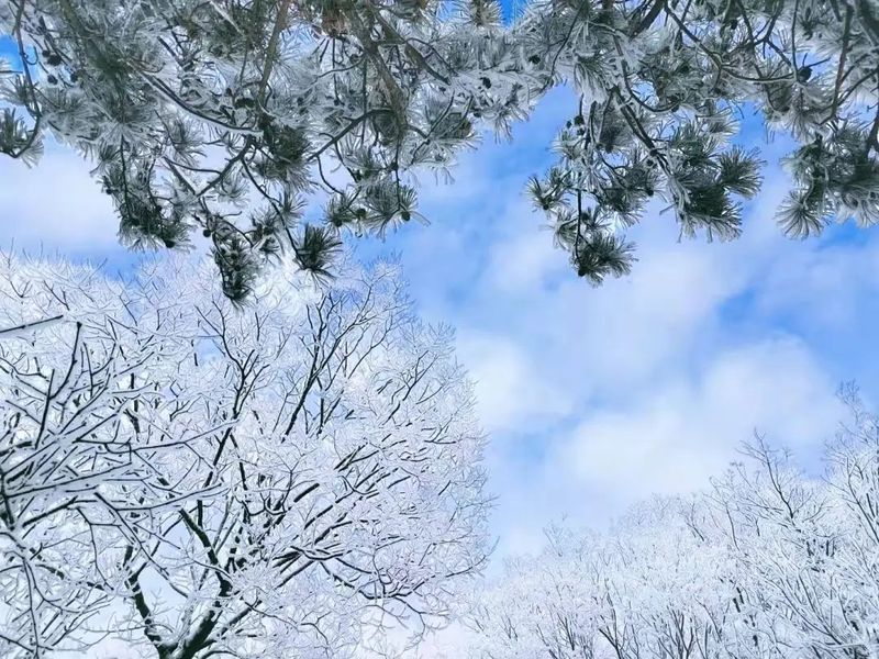 雪一落,八里沟就美成了诗!